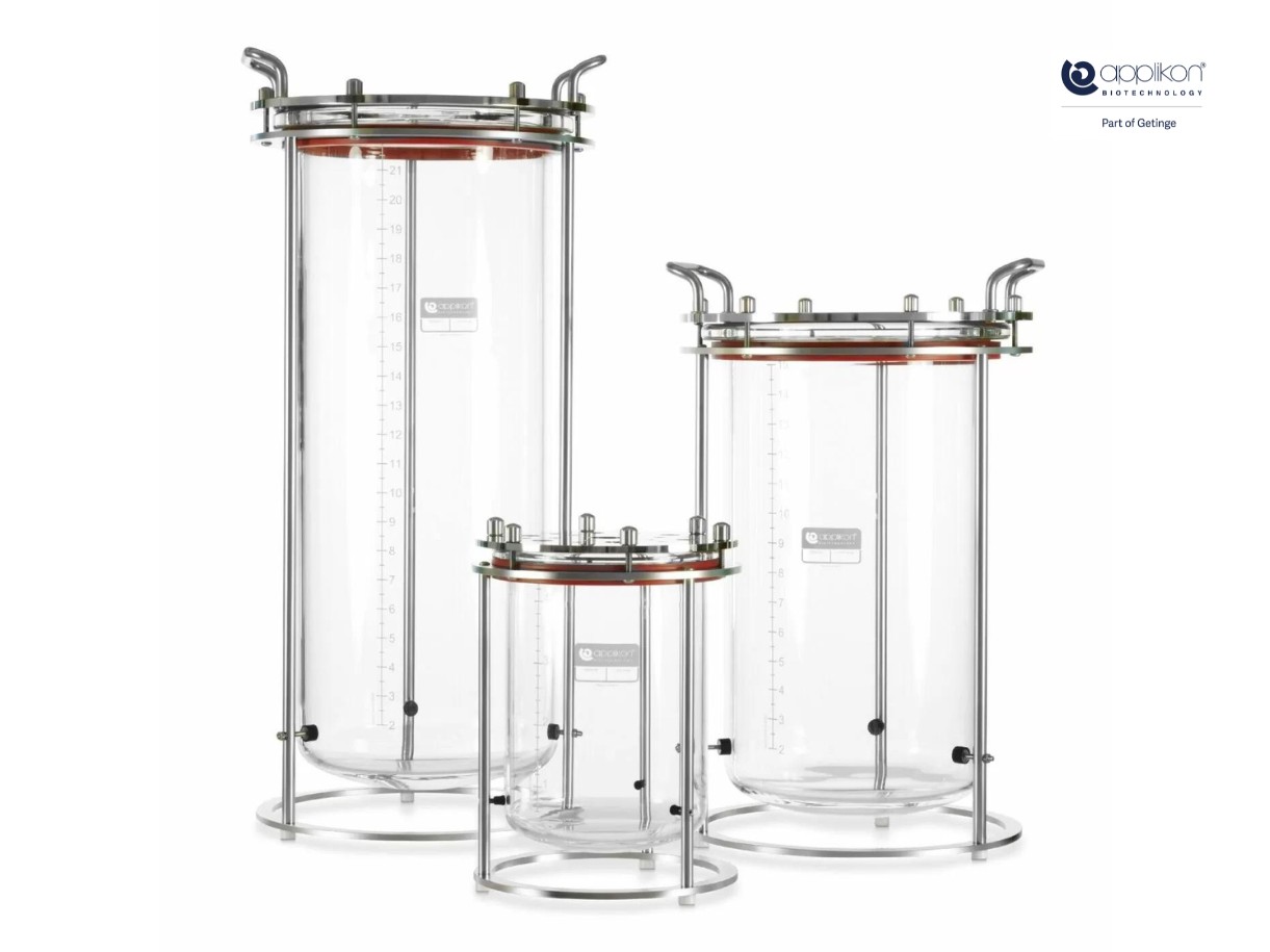 Bioreactor-applikonbio-getinge Bioreactor applikonbio getinge