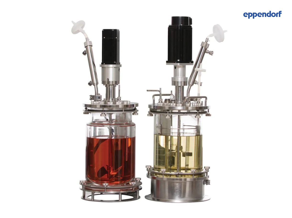 Bioreactor-bioflo-eppendorf Bioreactor bioflo eppendorf