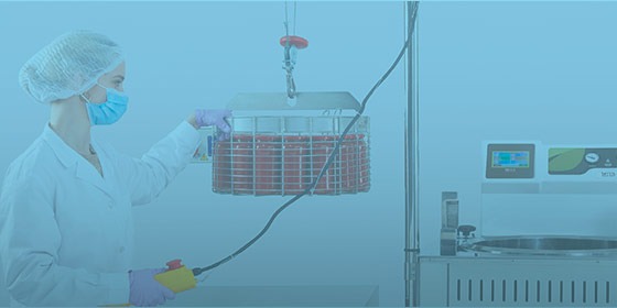 RAYPA autoclave para conservas