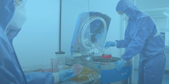 Autoclaves para la industria farmacéutica