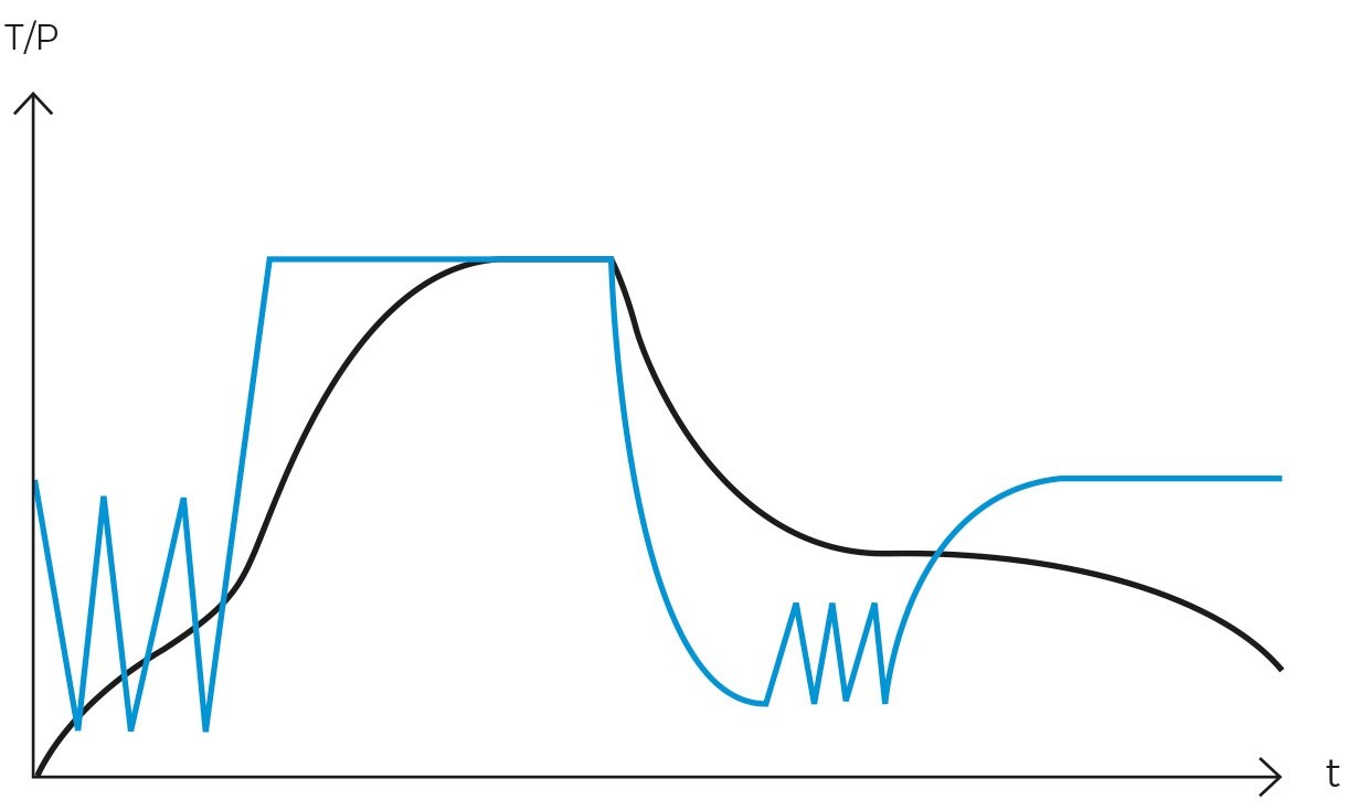Gráfico del ciclo de vacío en autoclave RAYPA