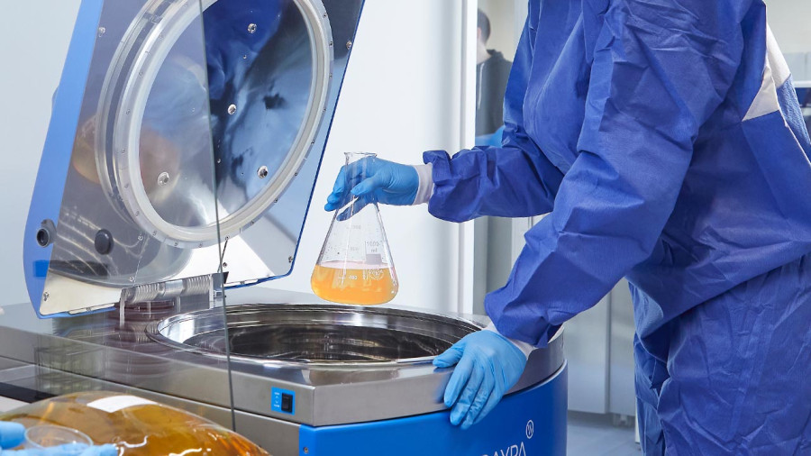 Ciclo isotérmico o de baja temperatura 10 Esterilización mediante el ciclo isotérmico en autoclave